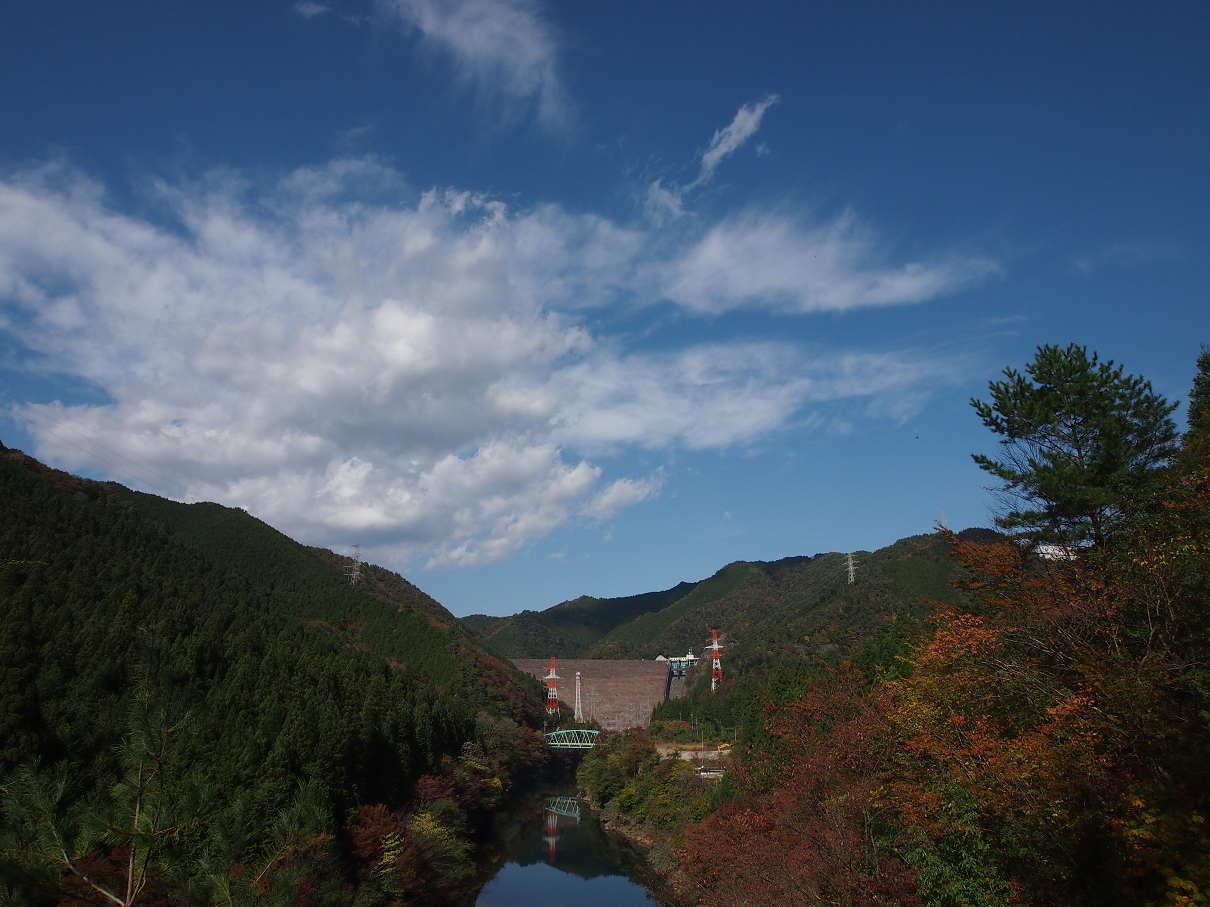 PB11080235.jpg