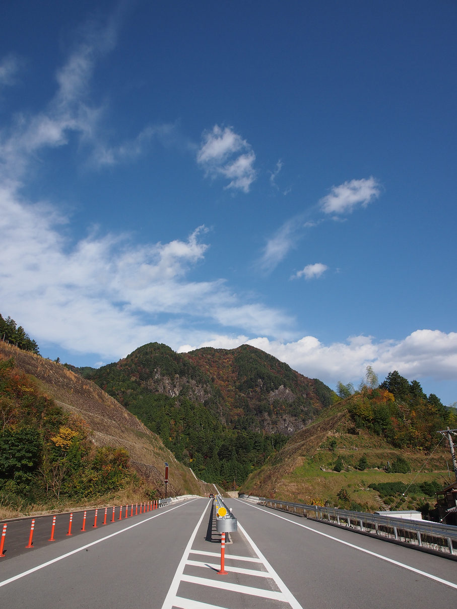 PB11080236.jpg