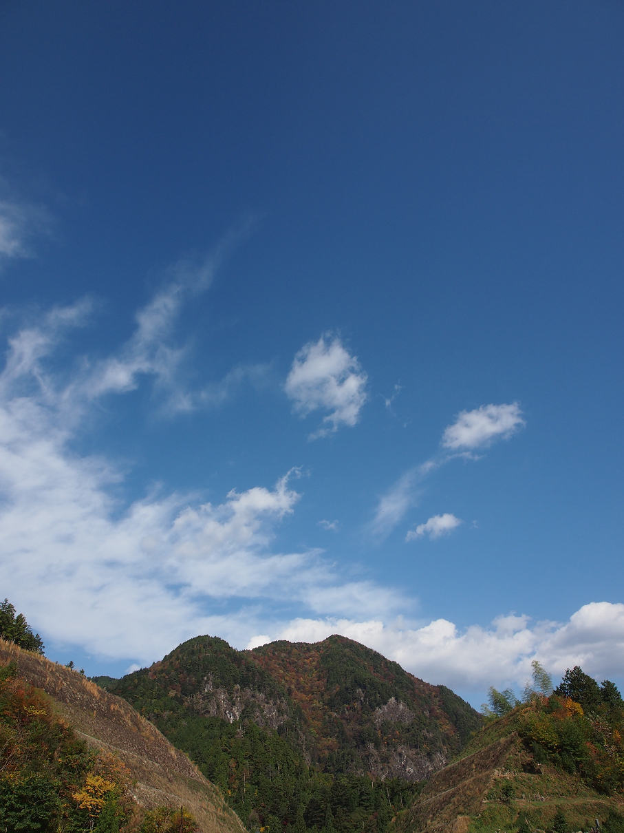 PB11080240.jpg
