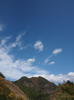 PB11080240_thumb.png