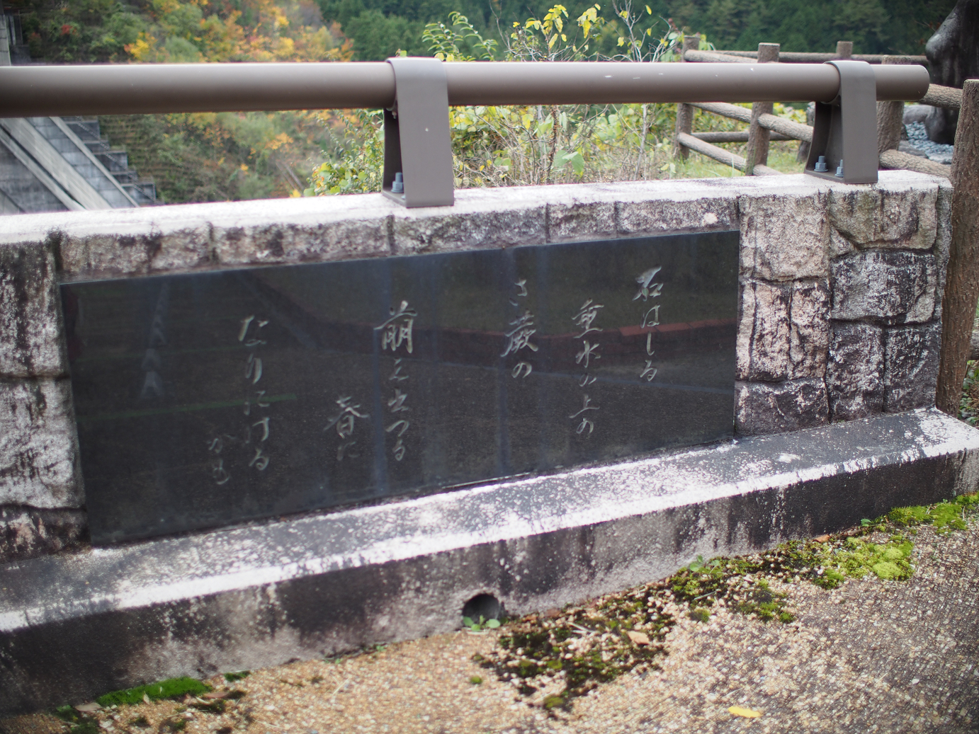 PB11080250.jpg