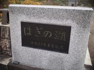 PB11080252_thumb.png