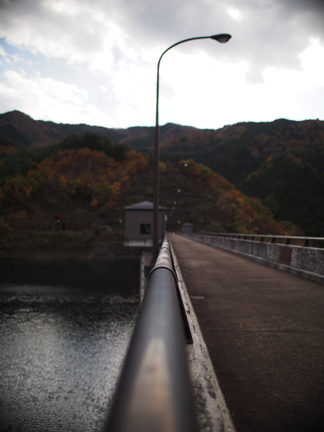 PB11080253.jpg