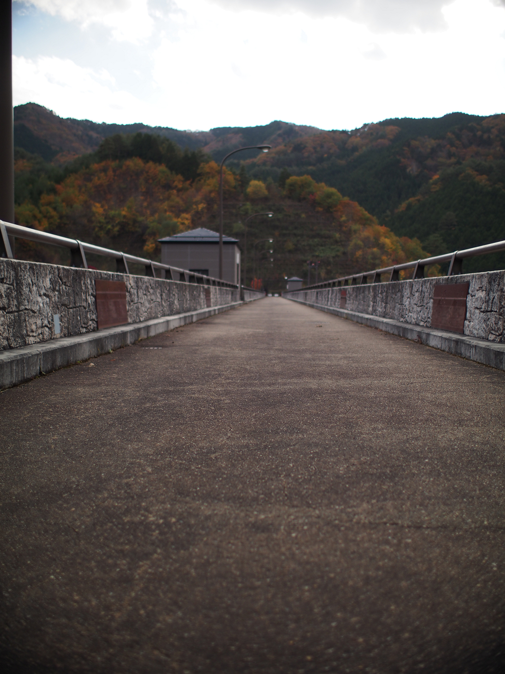 PB11080255.jpg