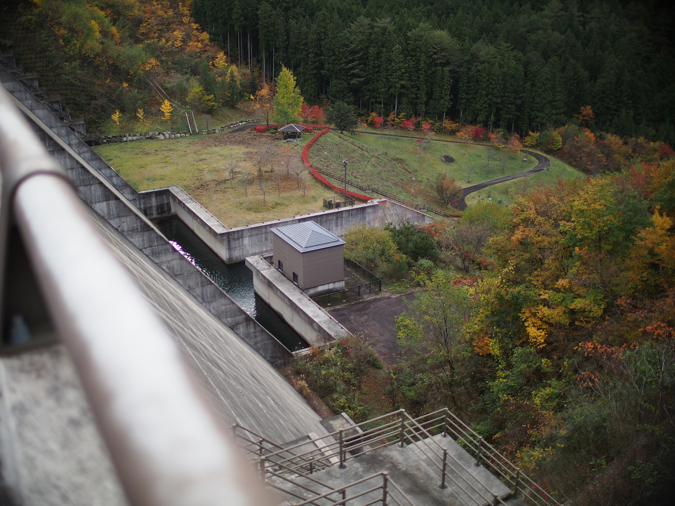 PB11080256.jpg