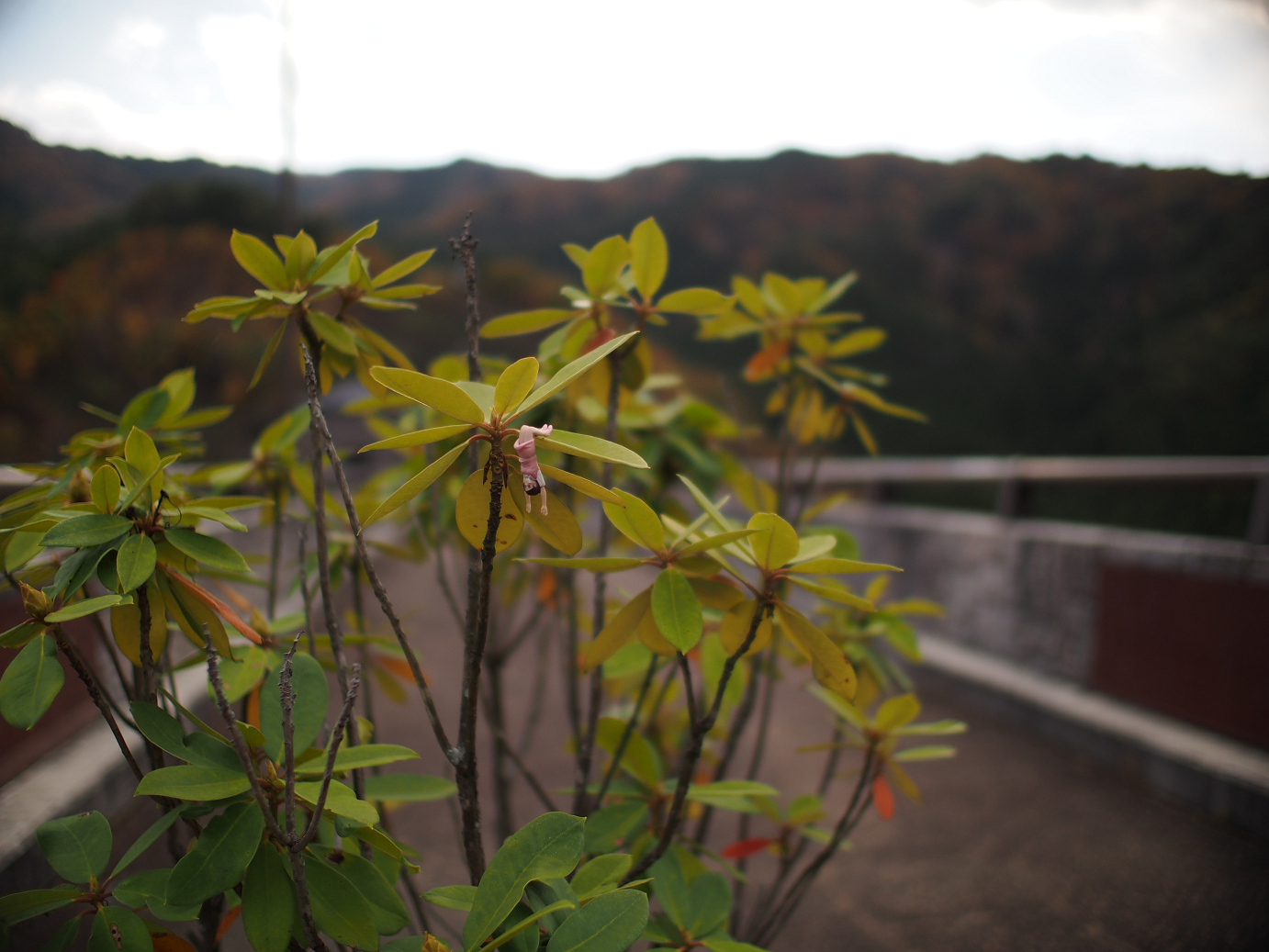 PB11080258.jpg
