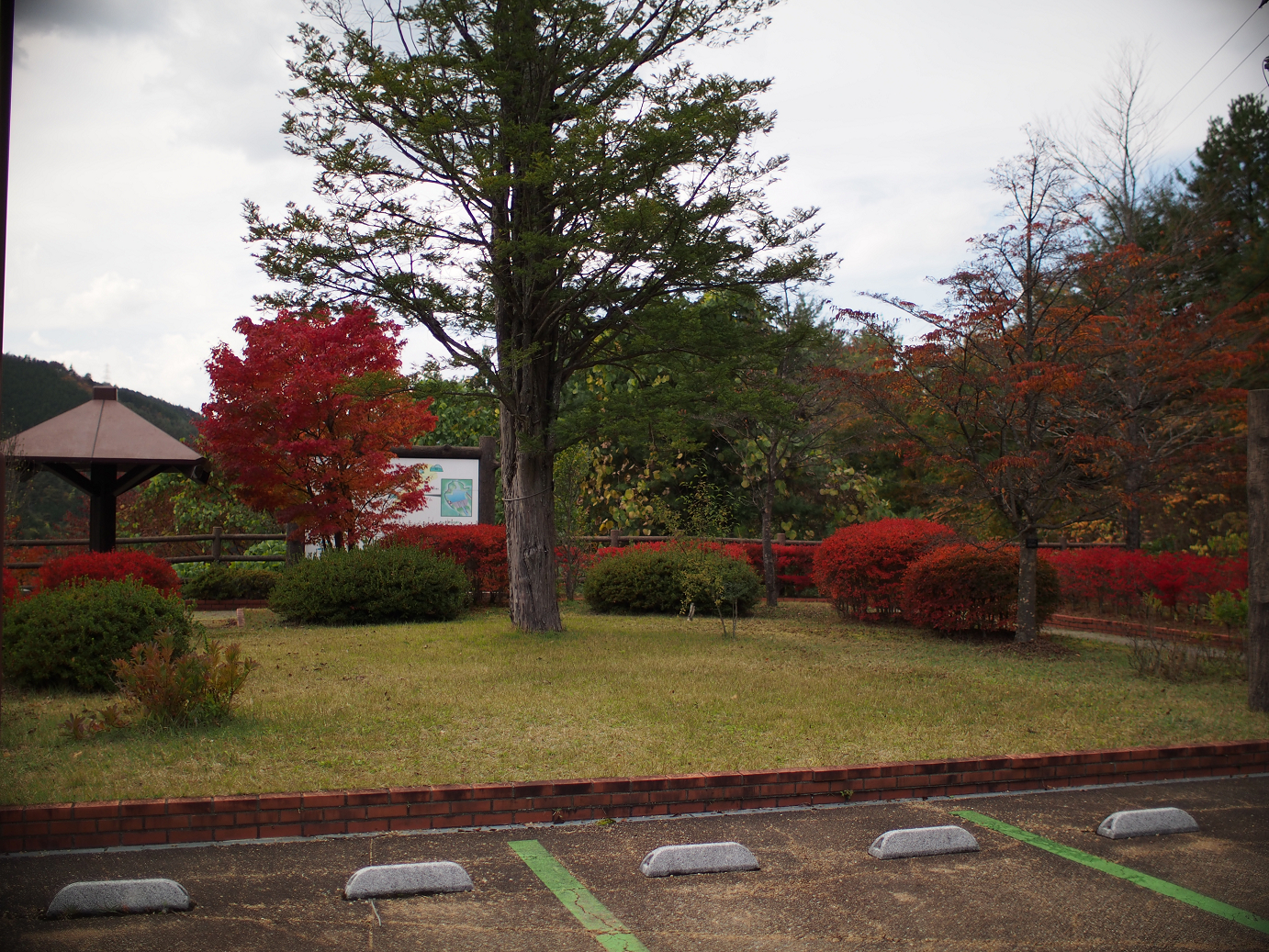 PB11080259.jpg