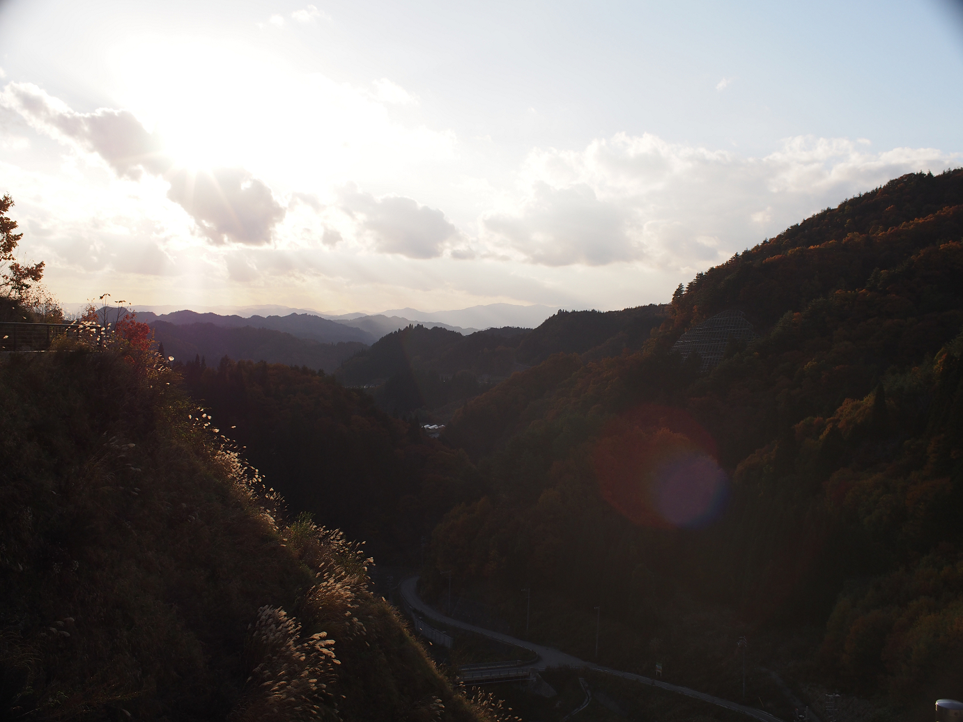 PB11080269.jpg
