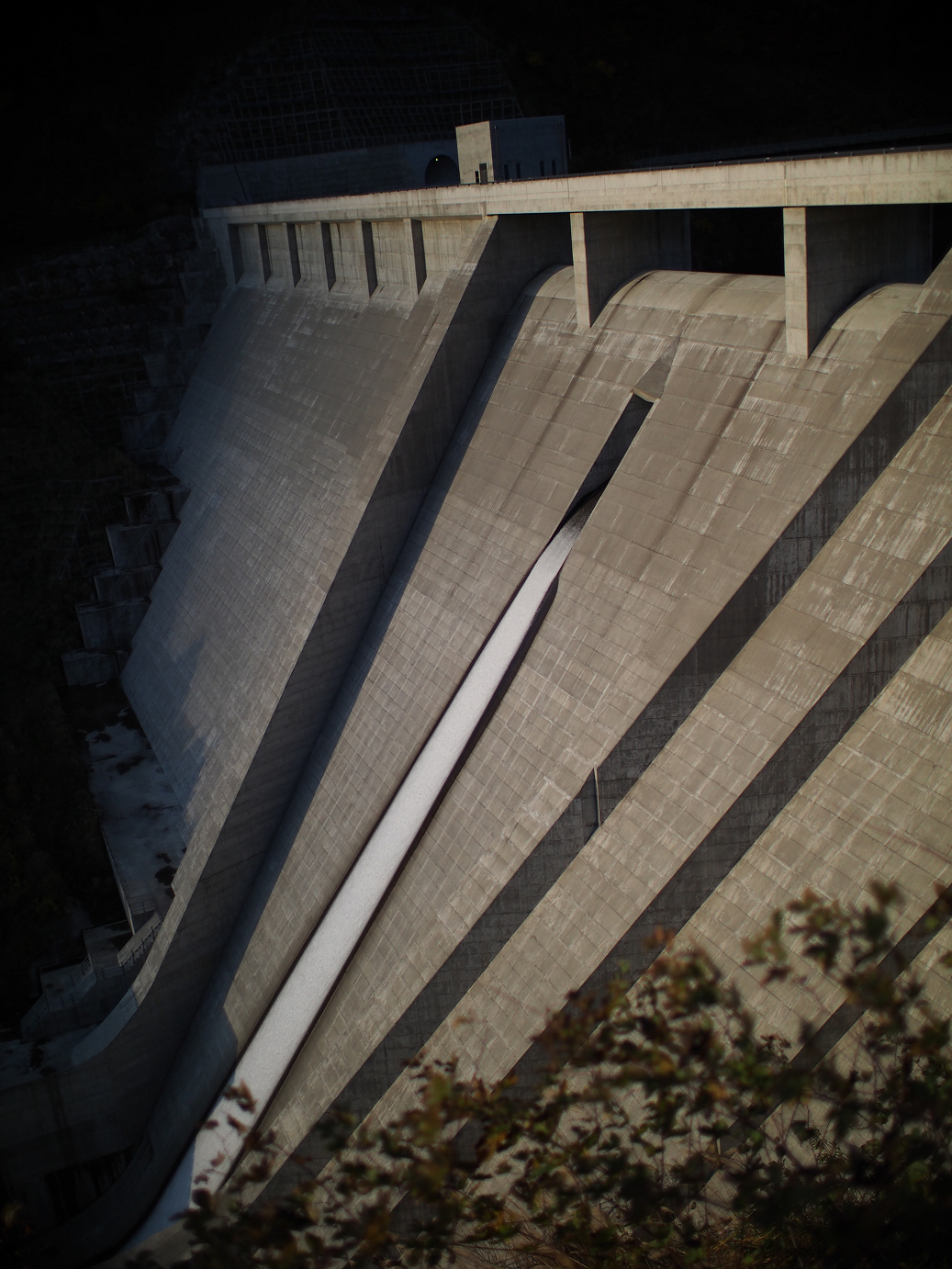 PB11080275.jpg