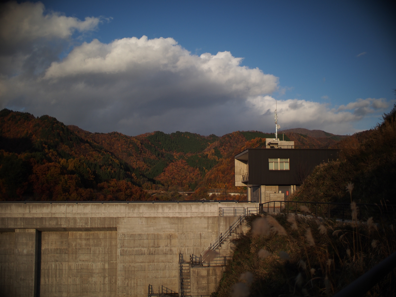 PB11080276.jpg