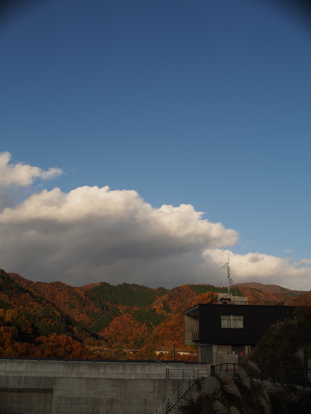 PB11080277.jpg