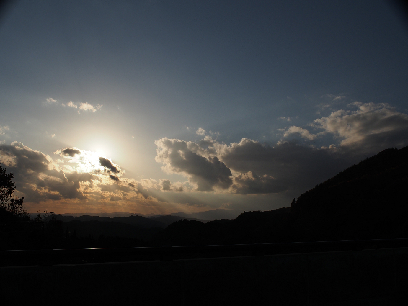 PB11080281.jpg