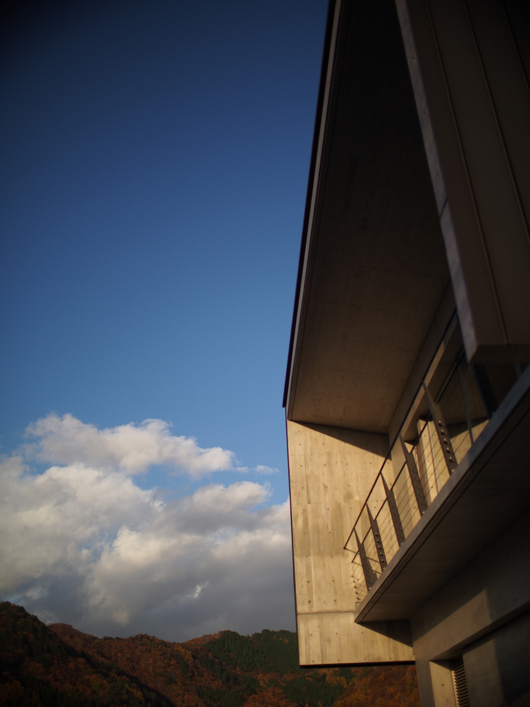 PB11080285.jpg