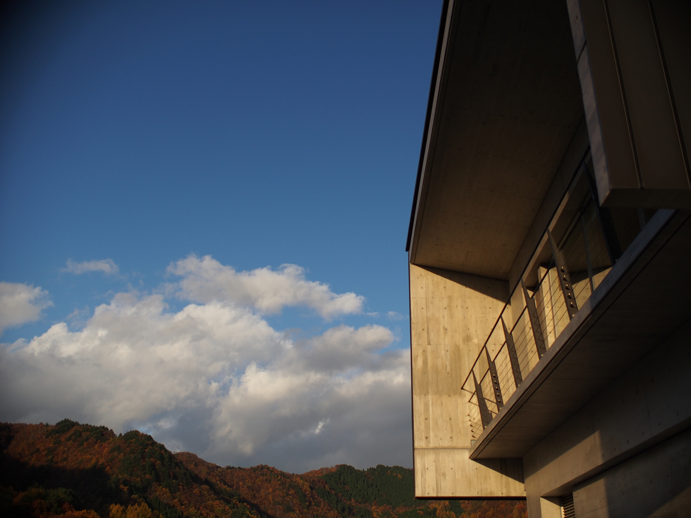 PB11080286.jpg