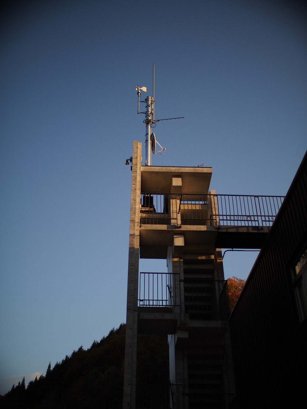 PB11080288.jpg