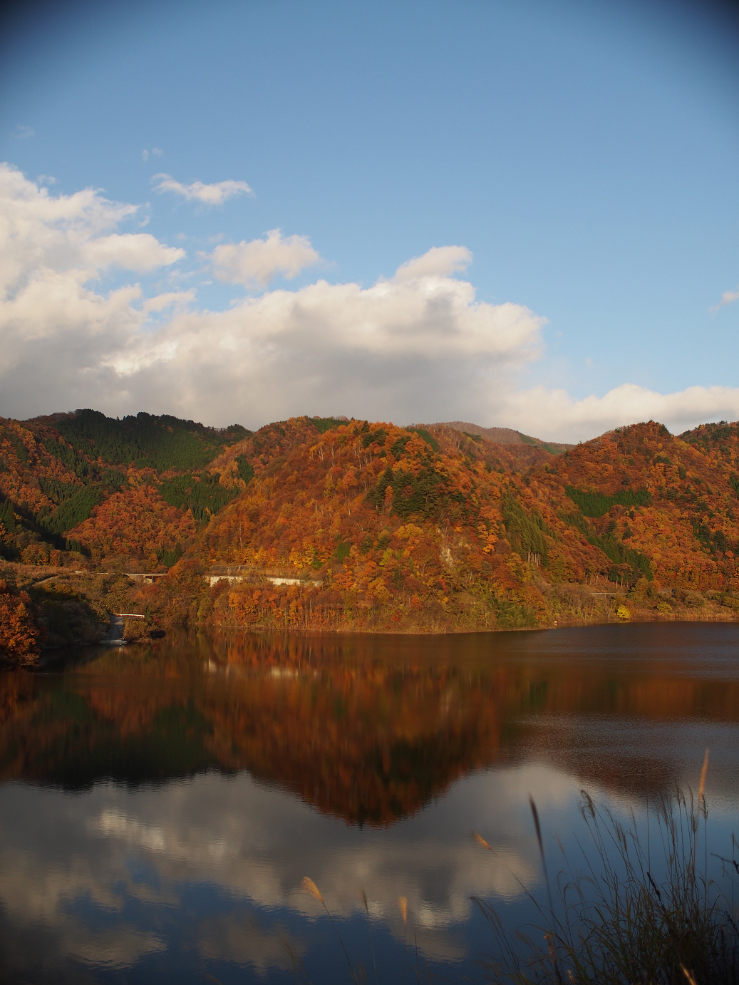 PB11080290.jpg