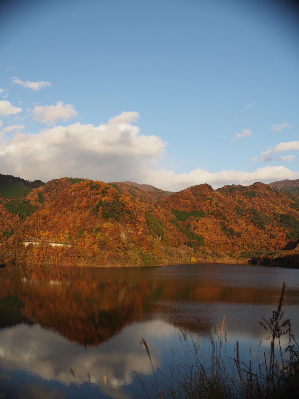 PB11080291.jpg