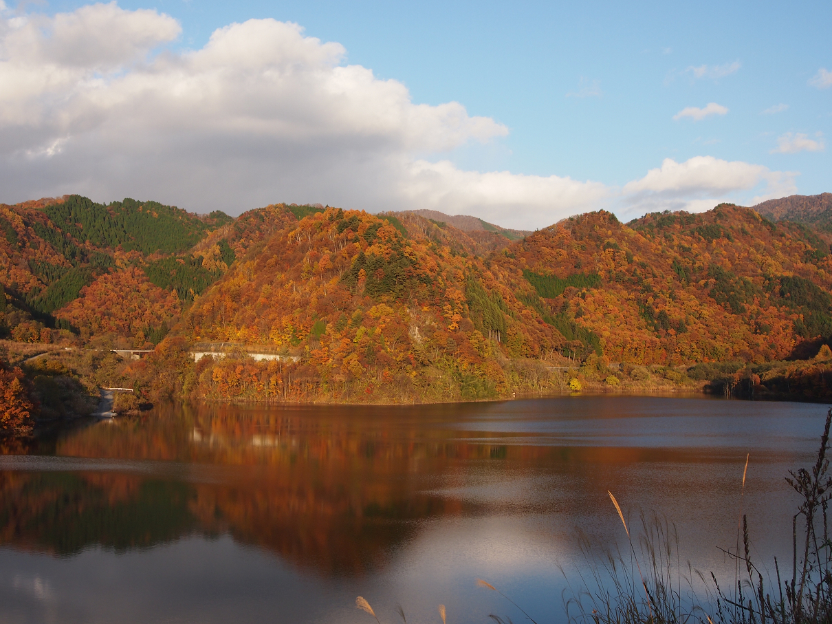 PB11080292.jpg