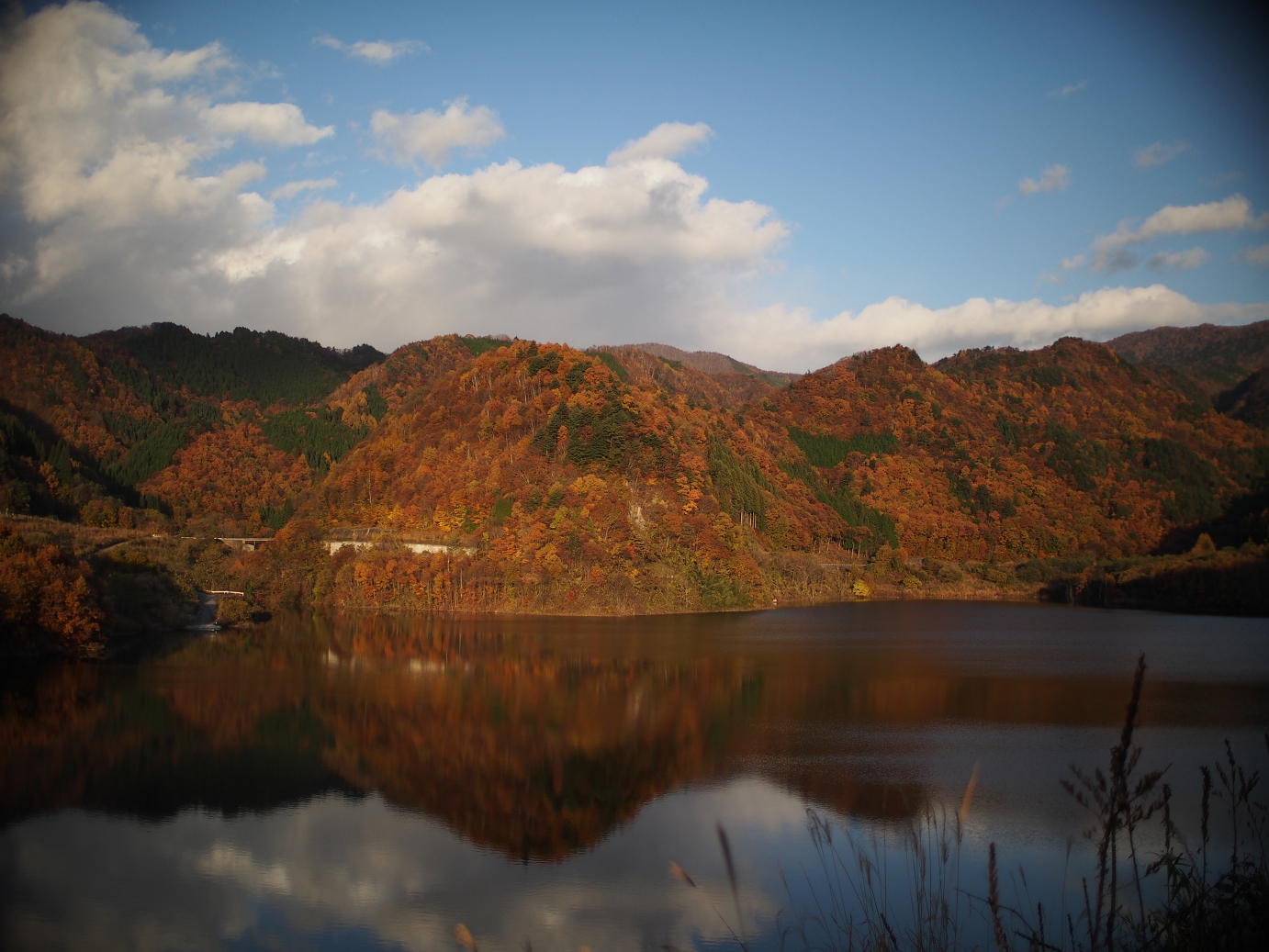PB11080293.jpg
