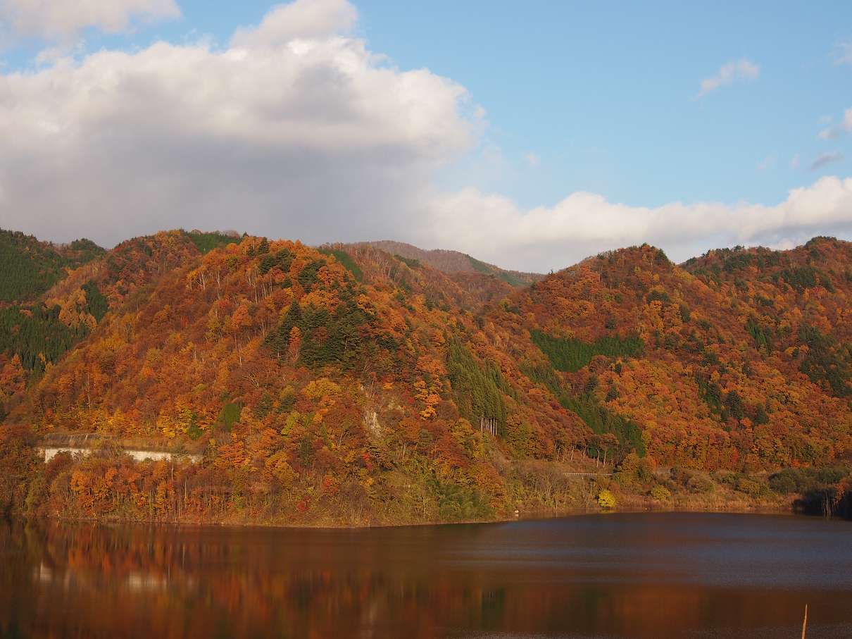 PB11080296.jpg