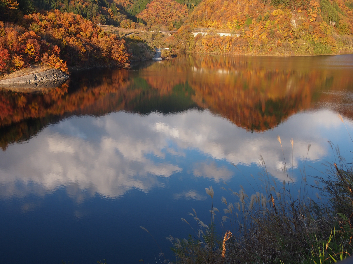 PB11080297.jpg