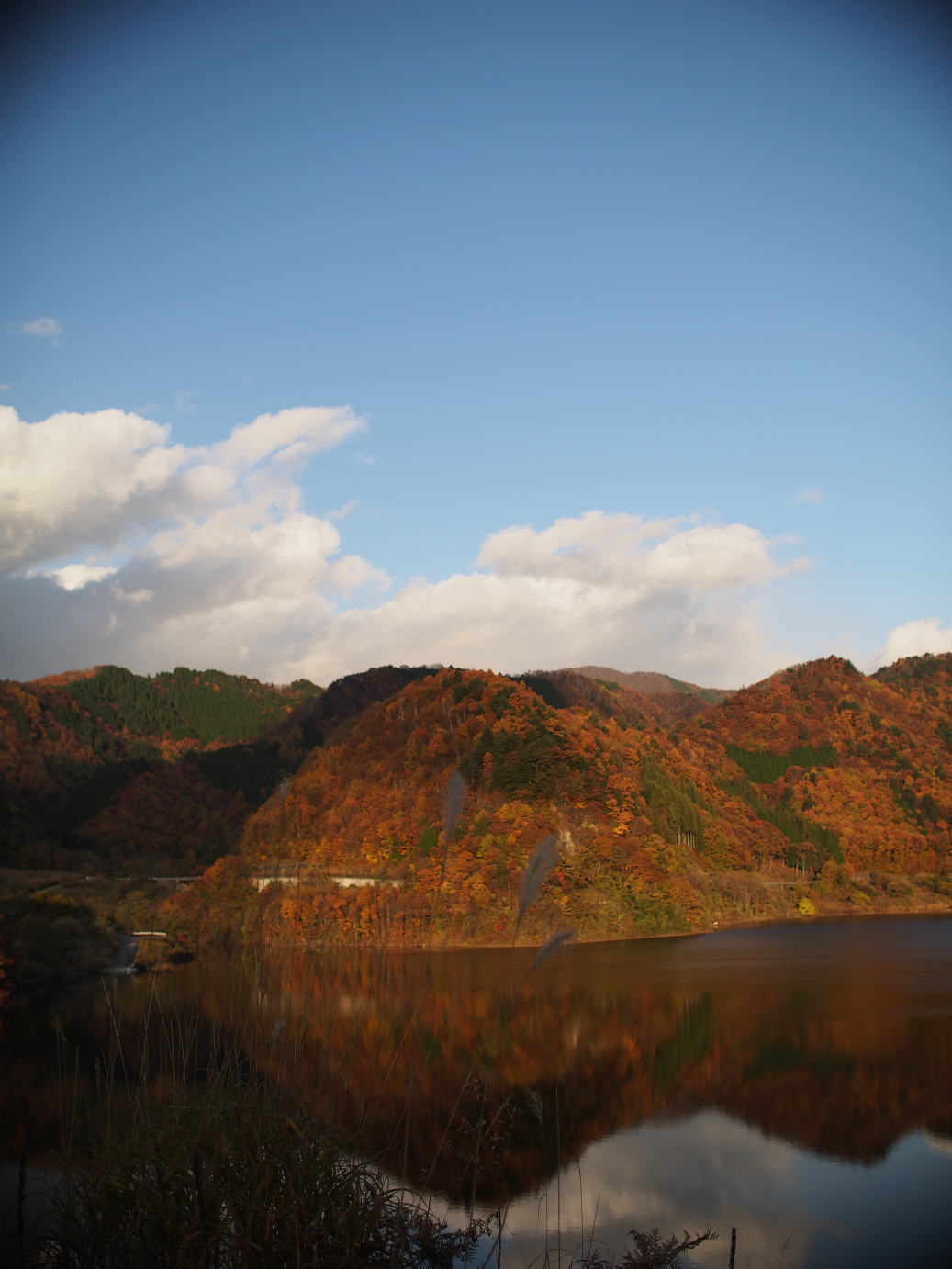 PB11080298.jpg