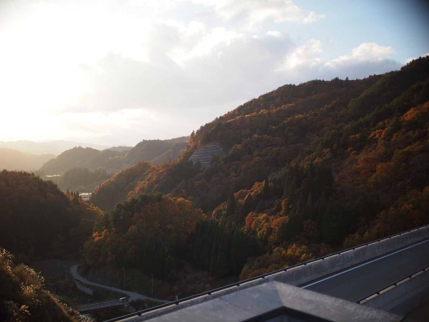 PB11080304.jpg