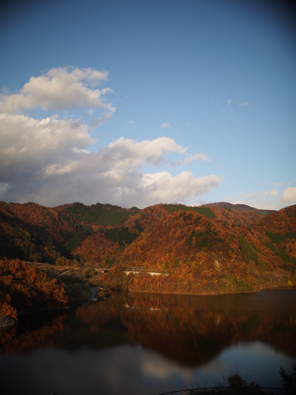 PB11080307.jpg
