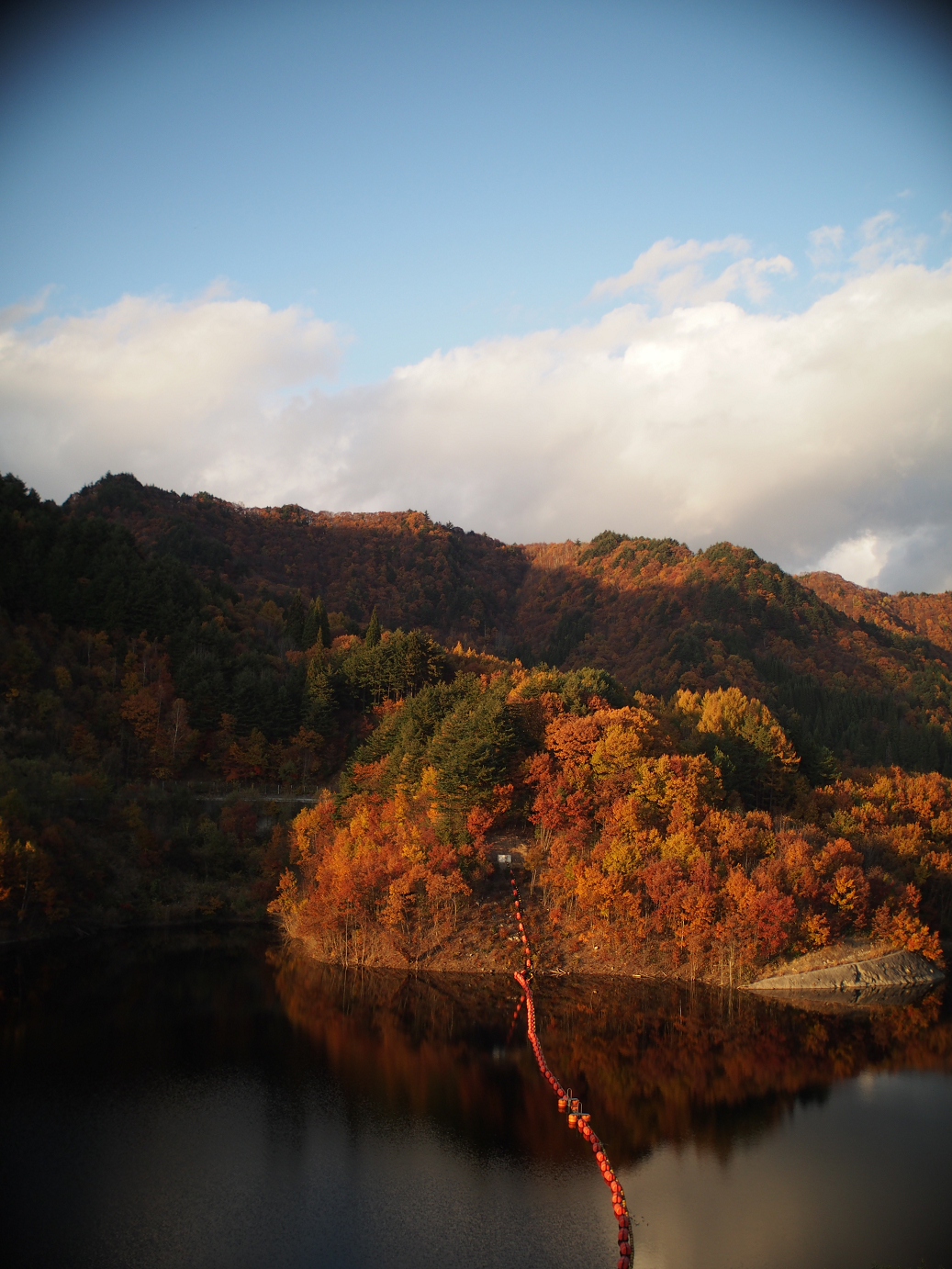 PB11080309.jpg