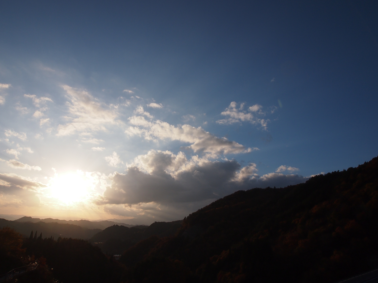 PB11080310.jpg