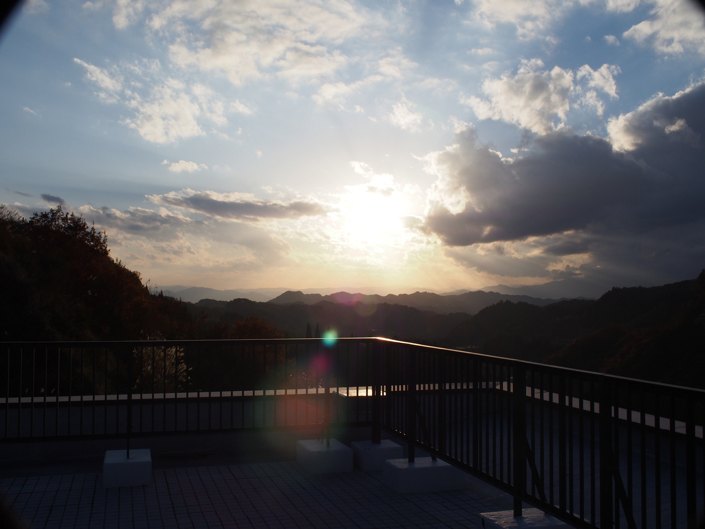 PB11080311.jpg