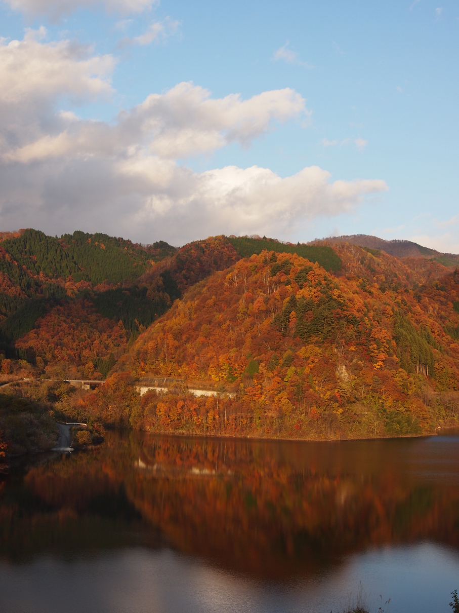 PB11080315.jpg