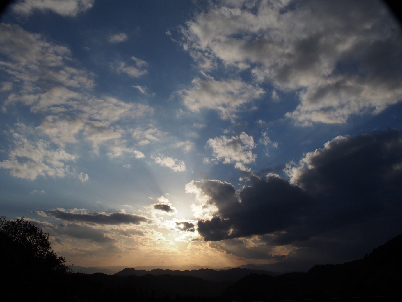 PB11080316.jpg