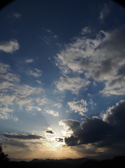 PB11080317_thumb.png