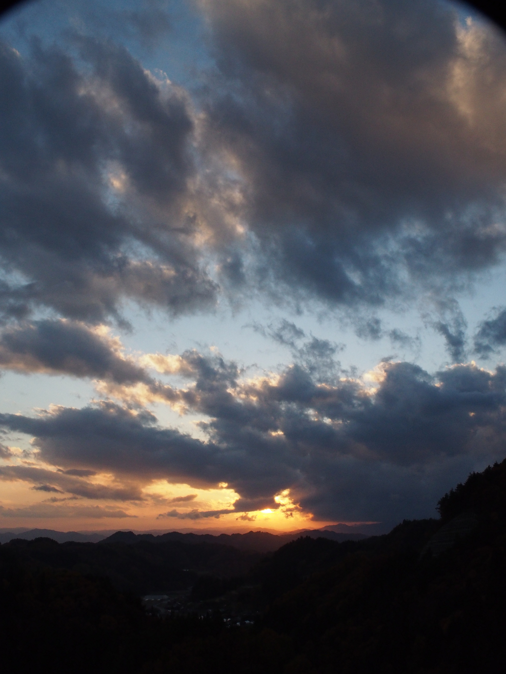 PB11080328.jpg