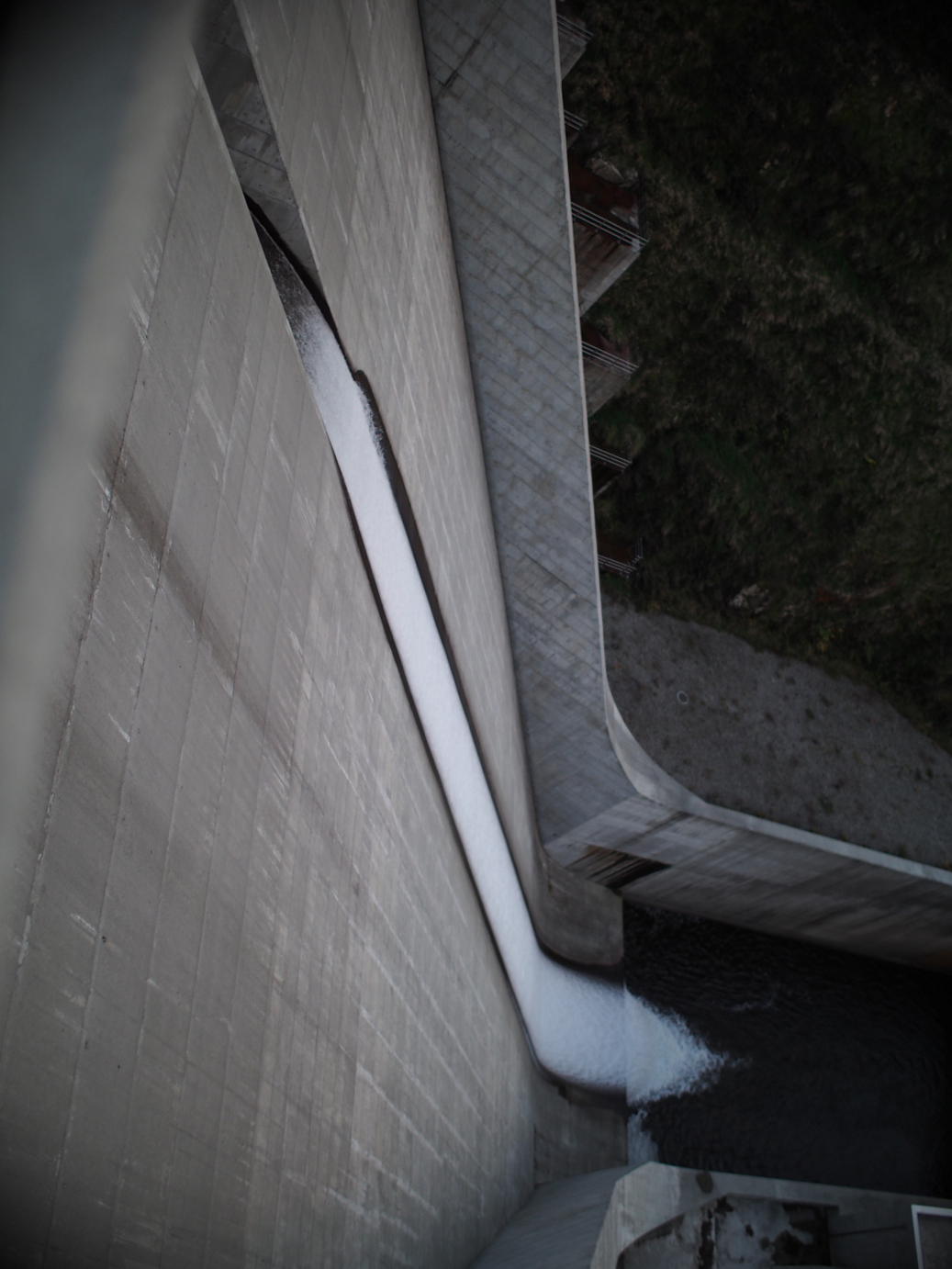 PB11080329.jpg