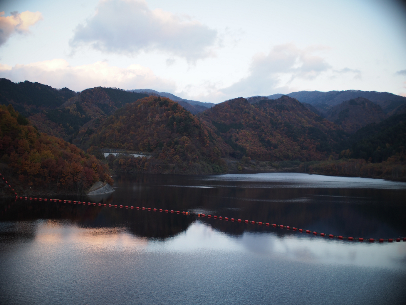 PB11080333.jpg