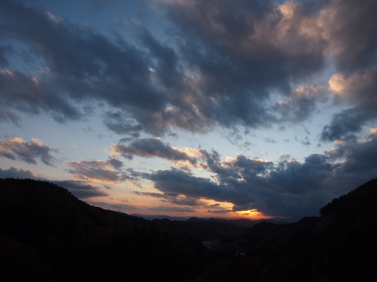 PB11080334.jpg