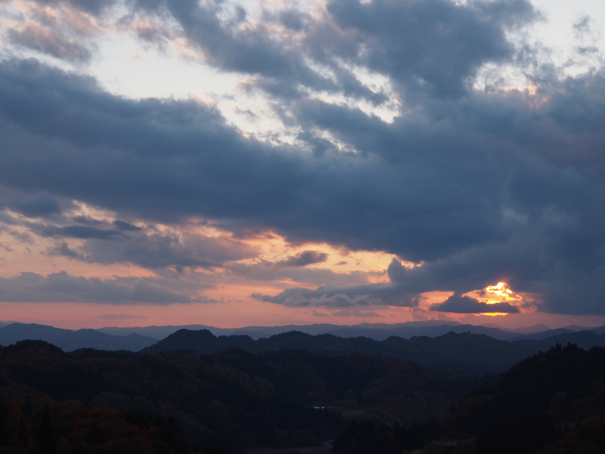PB11080340.jpg