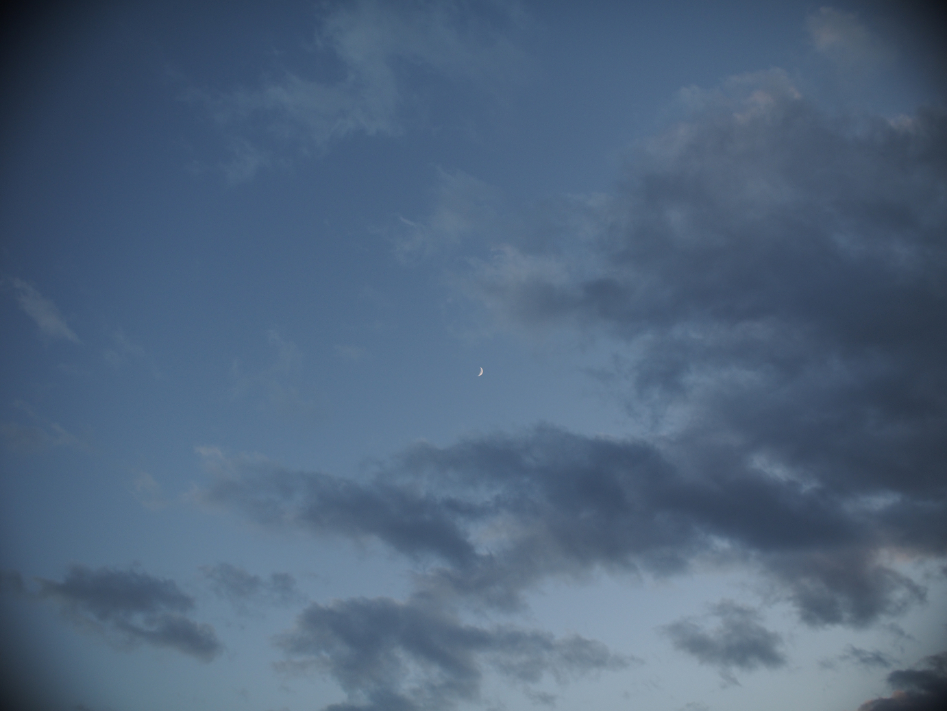 PB11080341.jpg