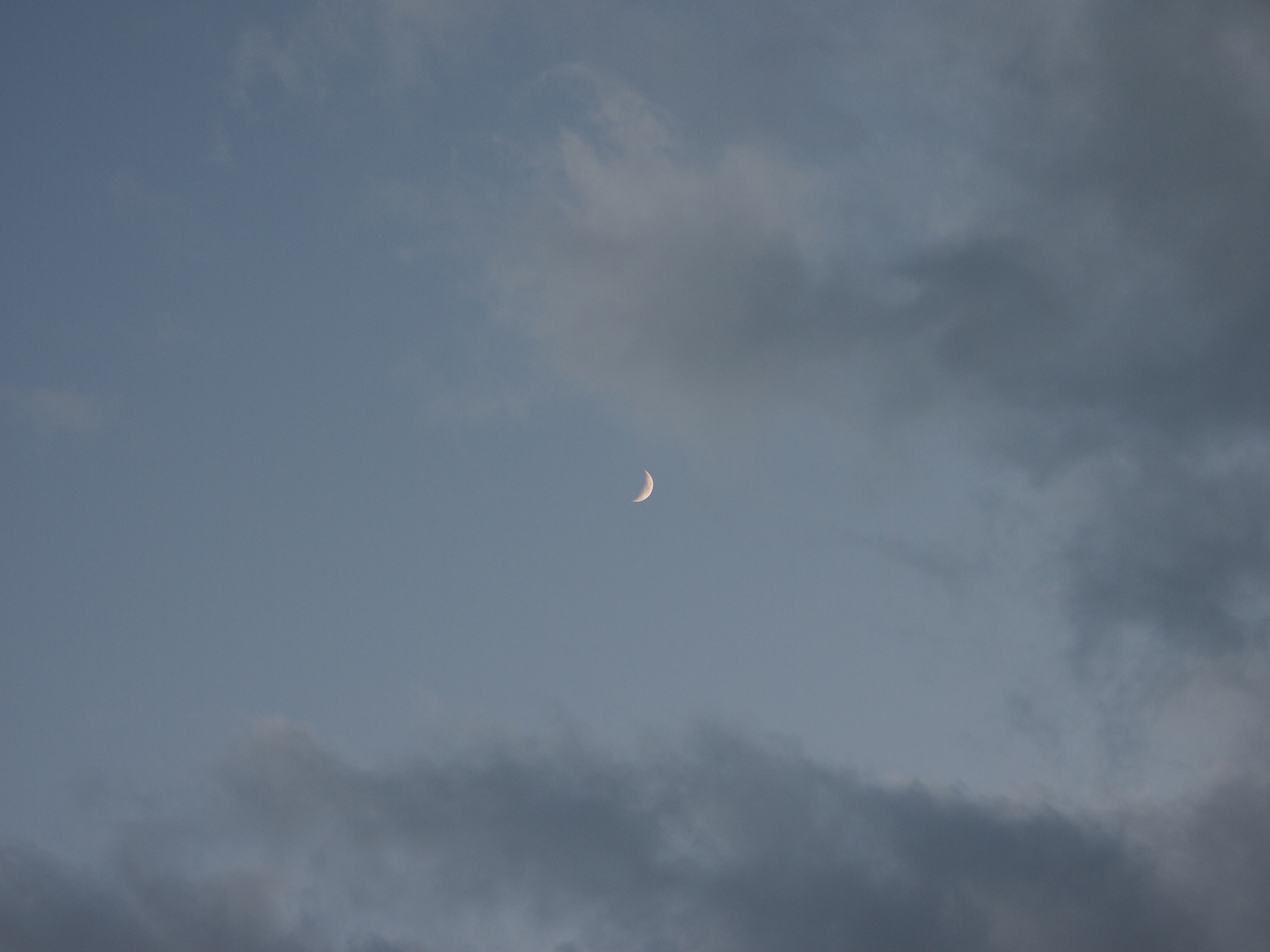 PB11080343.jpg