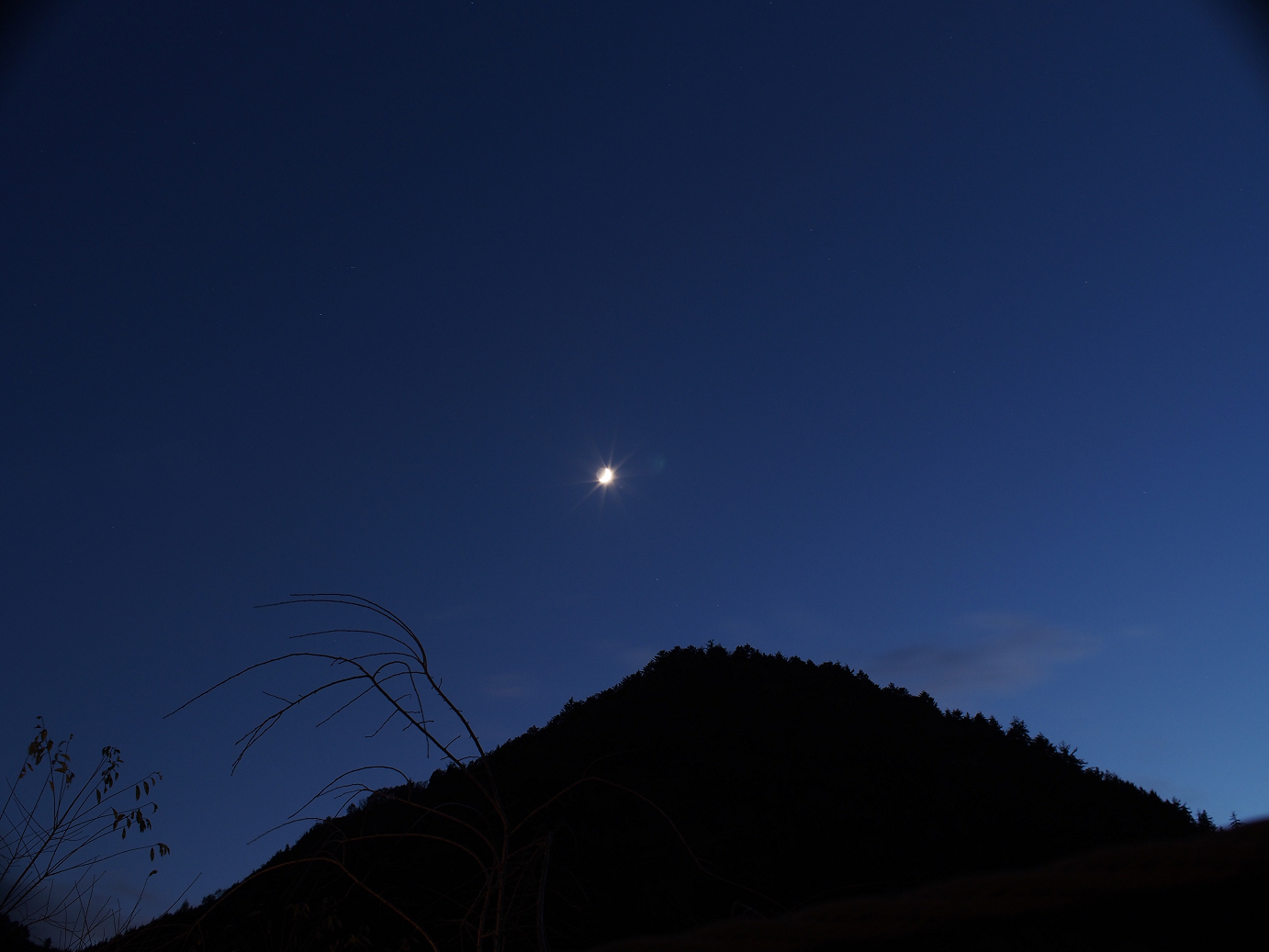PB11080344.jpg