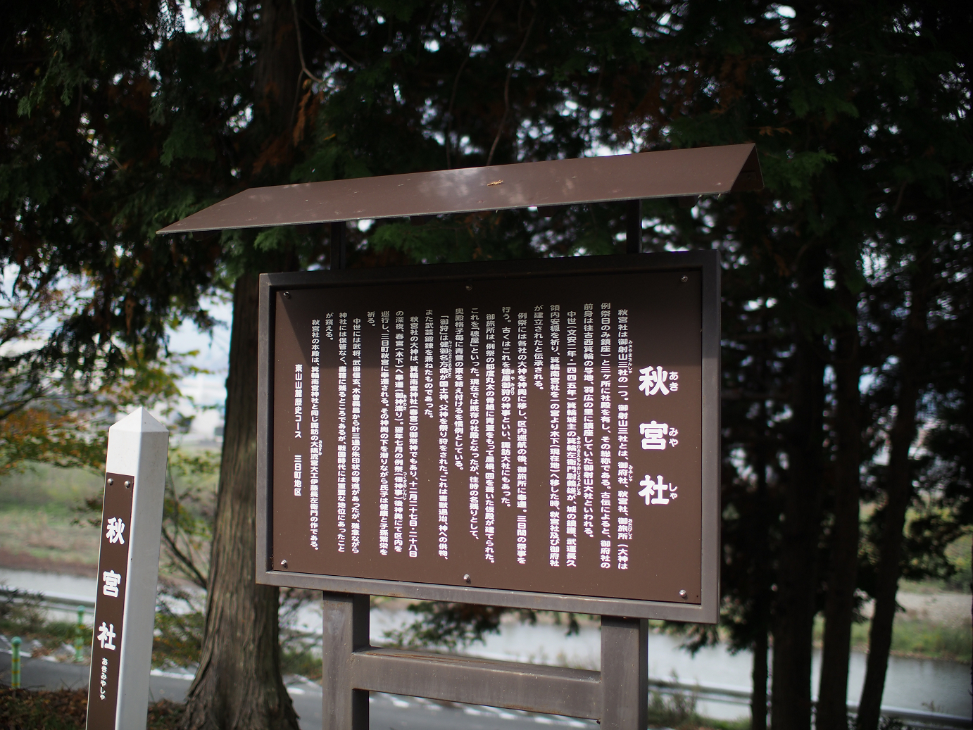 PB11080348.jpg