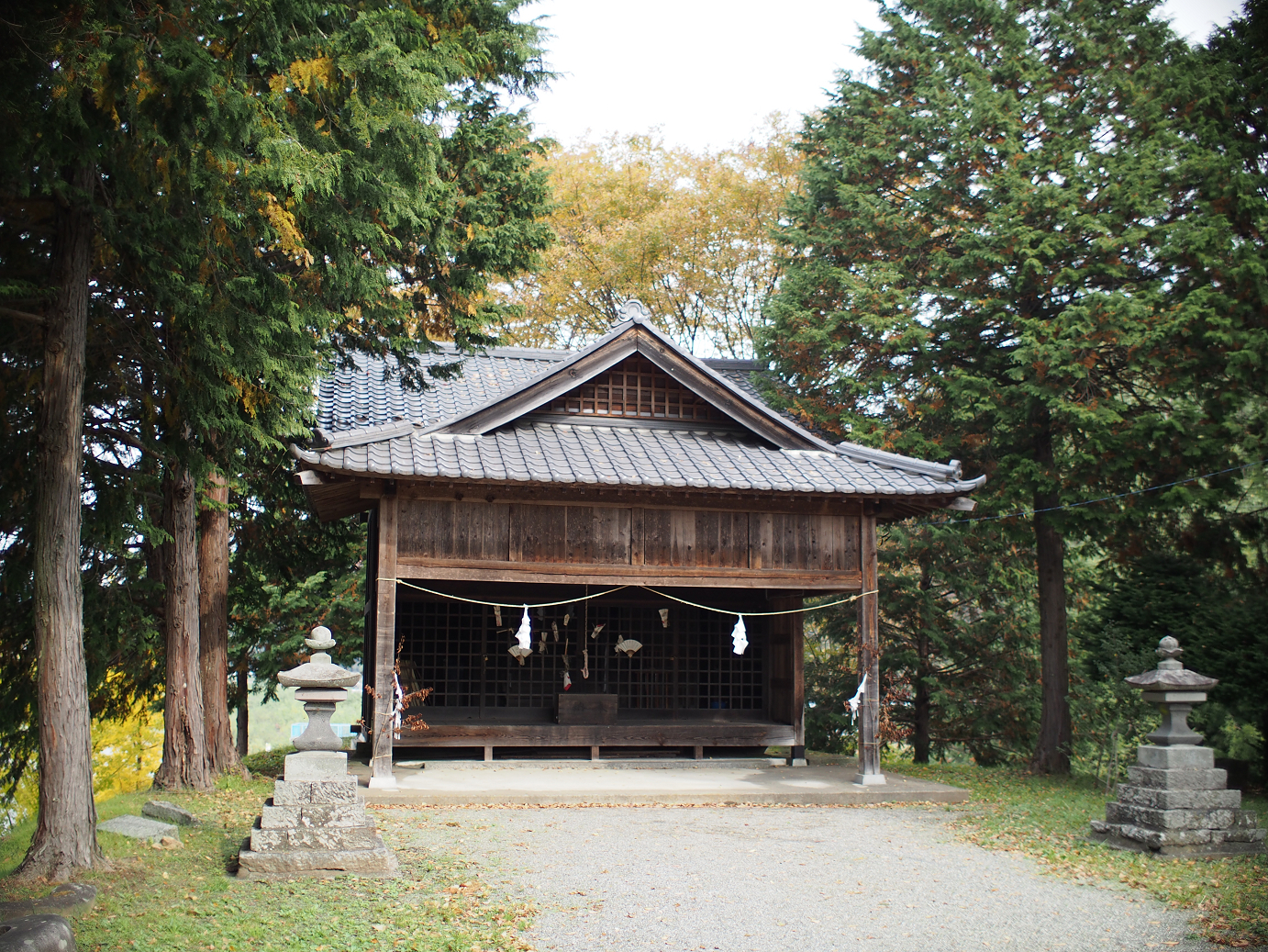 PB11080349.jpg
