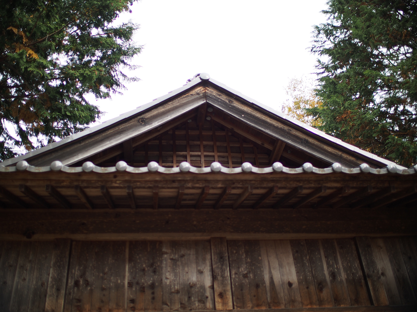 PB11080351.jpg