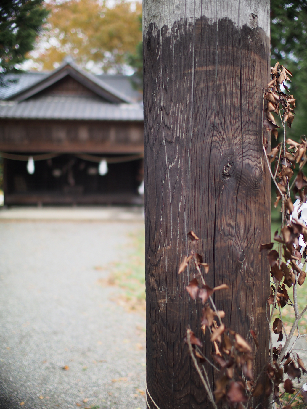 PB11080354.jpg