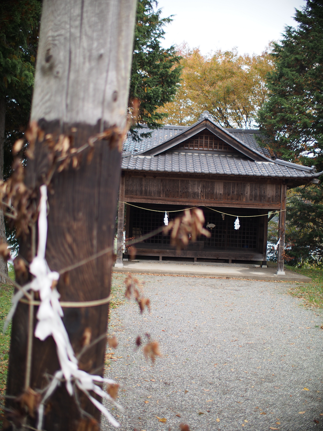 PB11080355.jpg