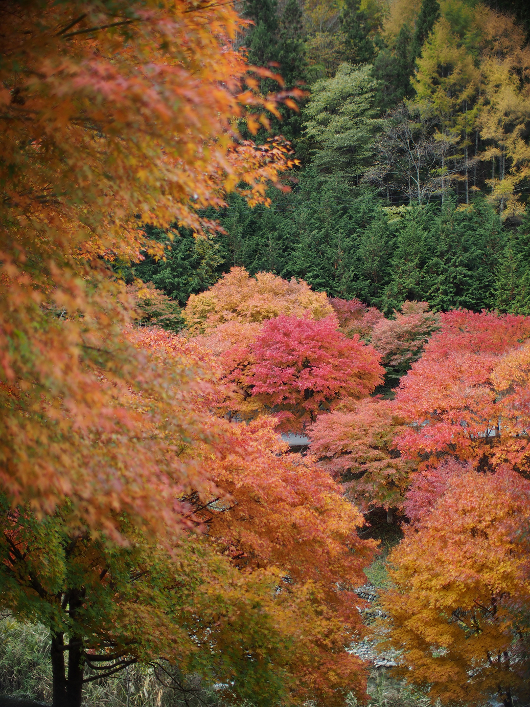 PB11080365.jpg