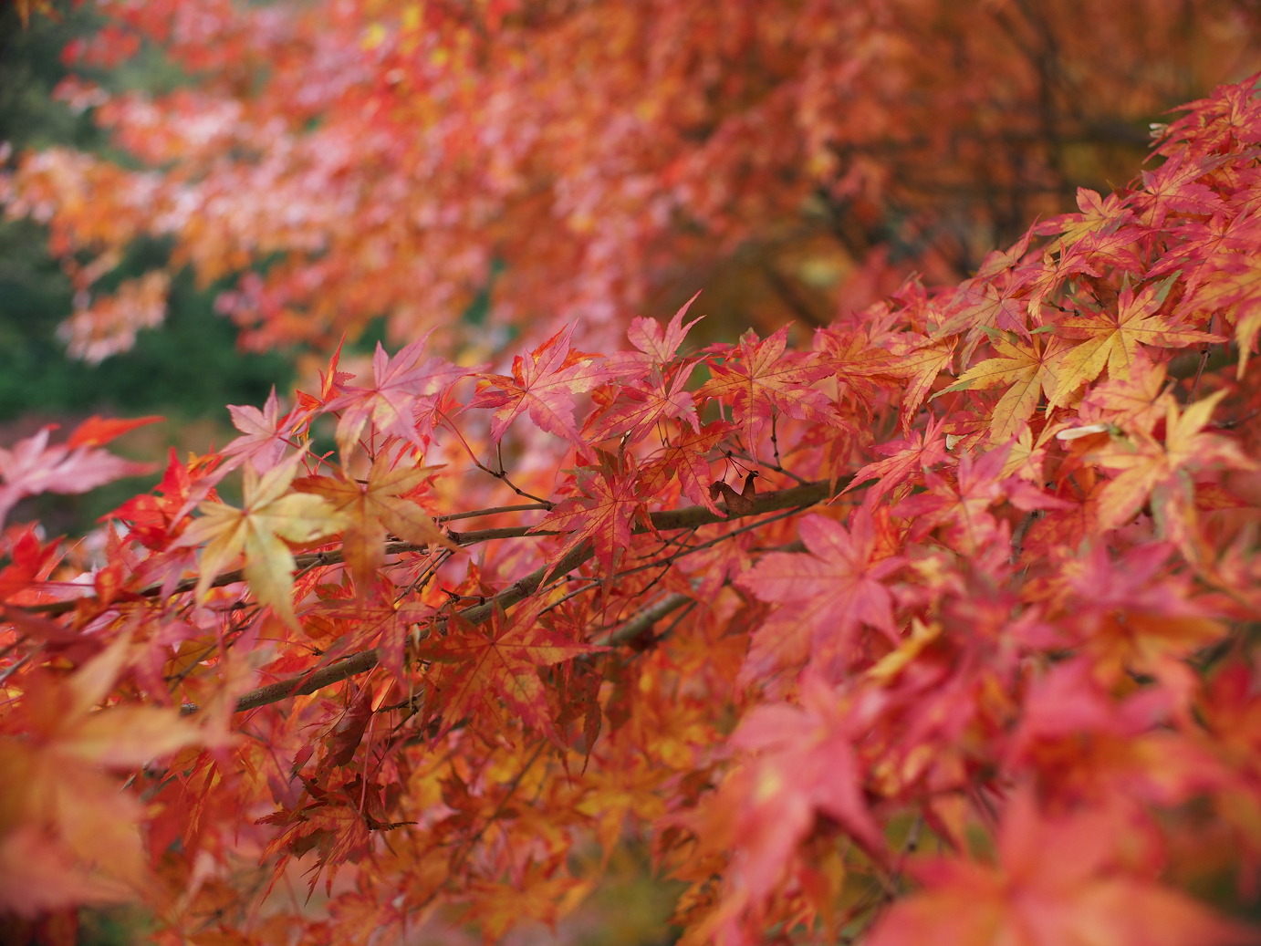 PB11080372.jpg