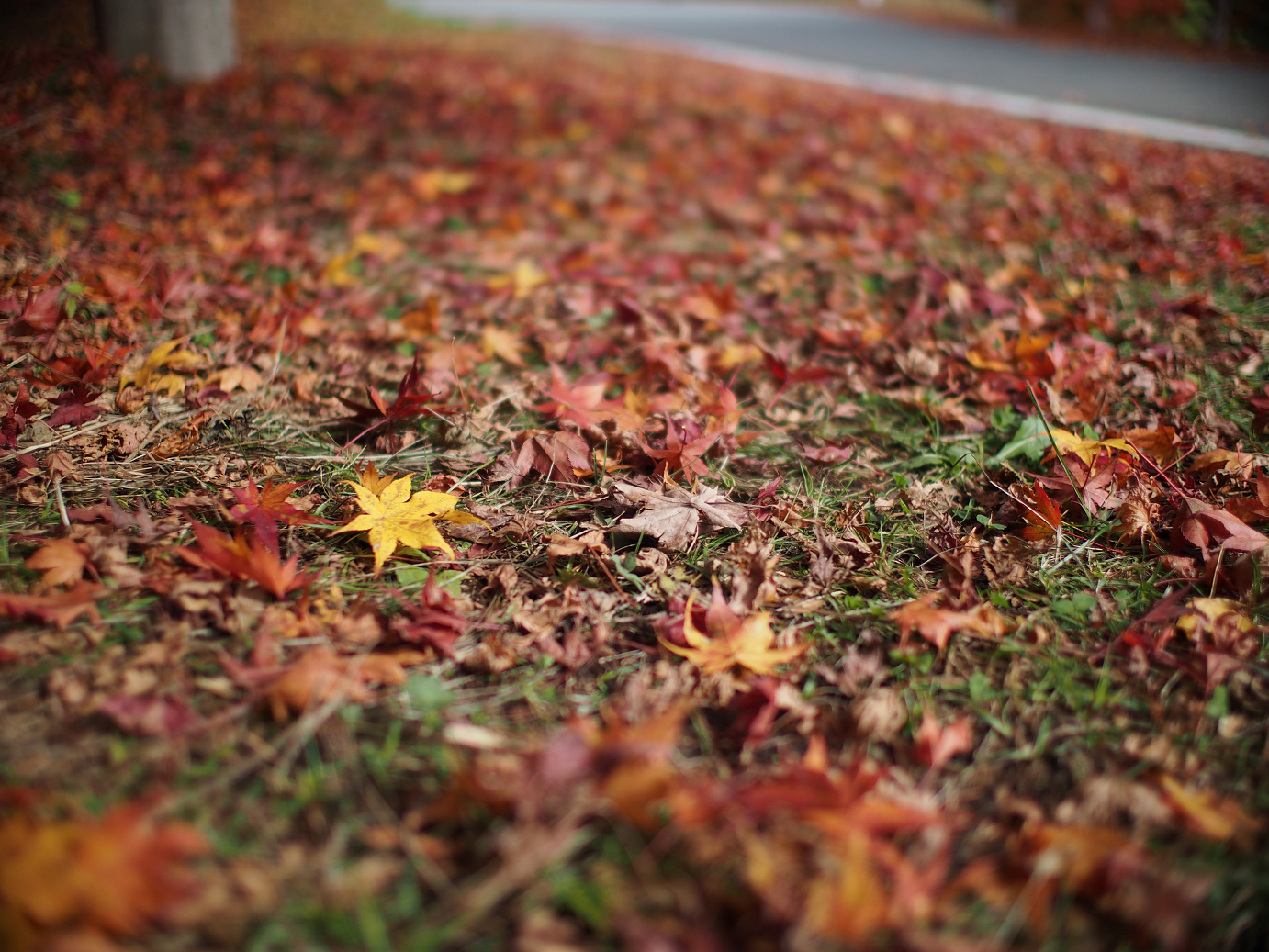 PB11080385.jpg